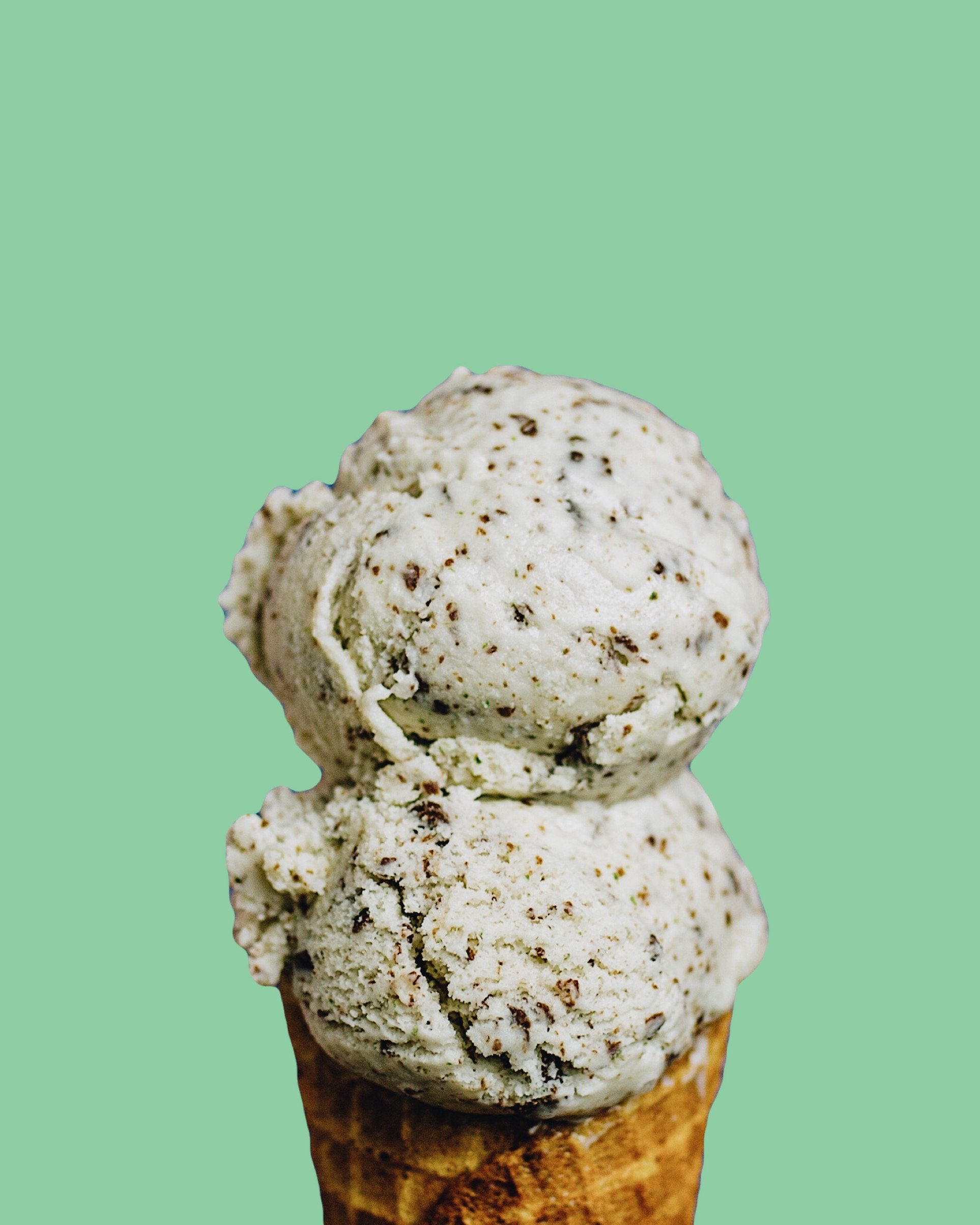 Fresh Mint Chip Ice Cream