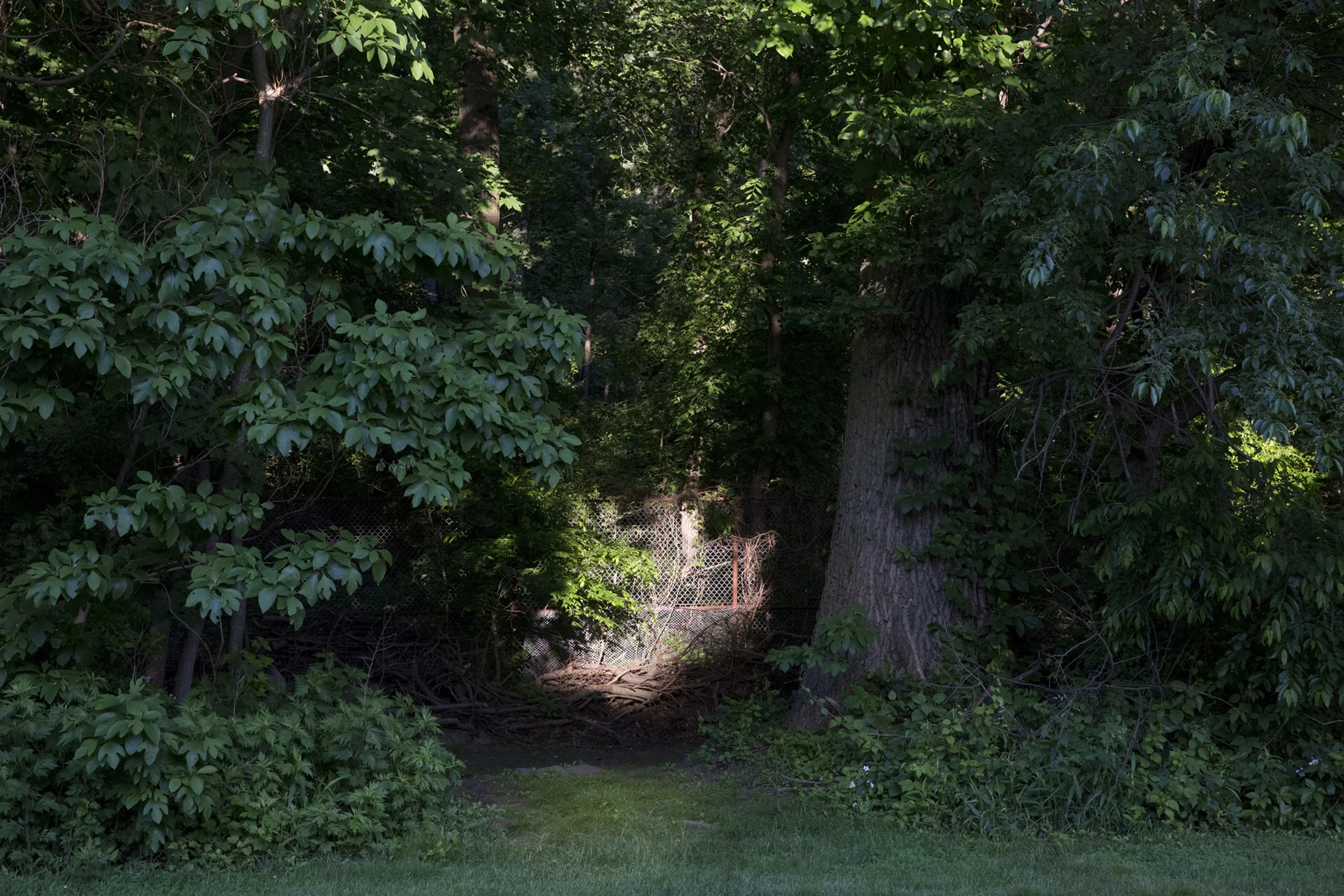 Artificial Landscapes: The Golf Course Project