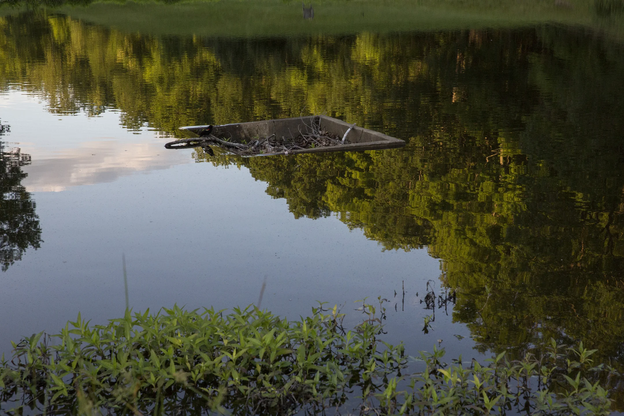 Artificial Landscapes: The Golf Course Project