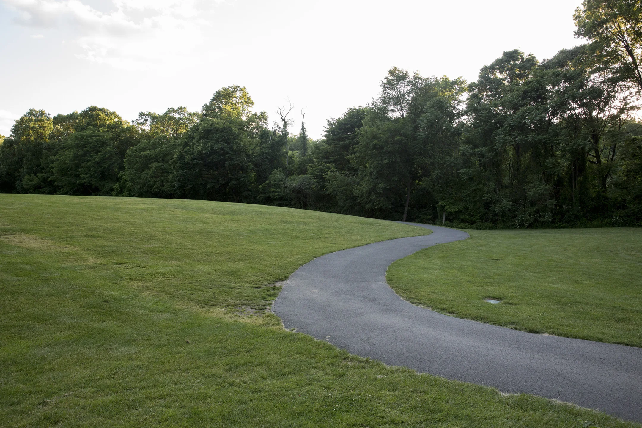 Artificial Landscapes: The Golf Course Project