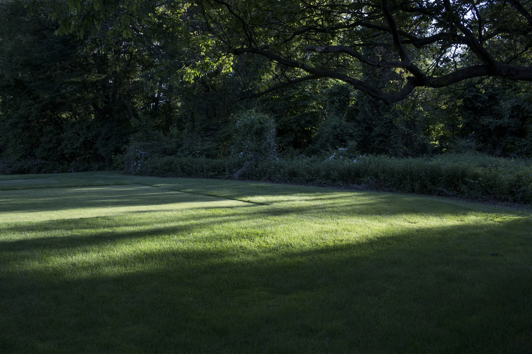 Artificial Landscapes: The Golf Course Project