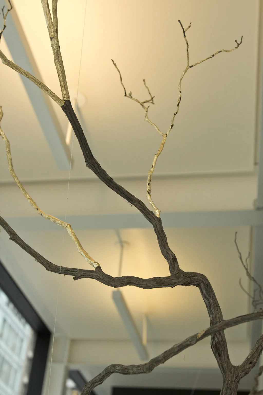 Tree Installation ICP 07.jpg