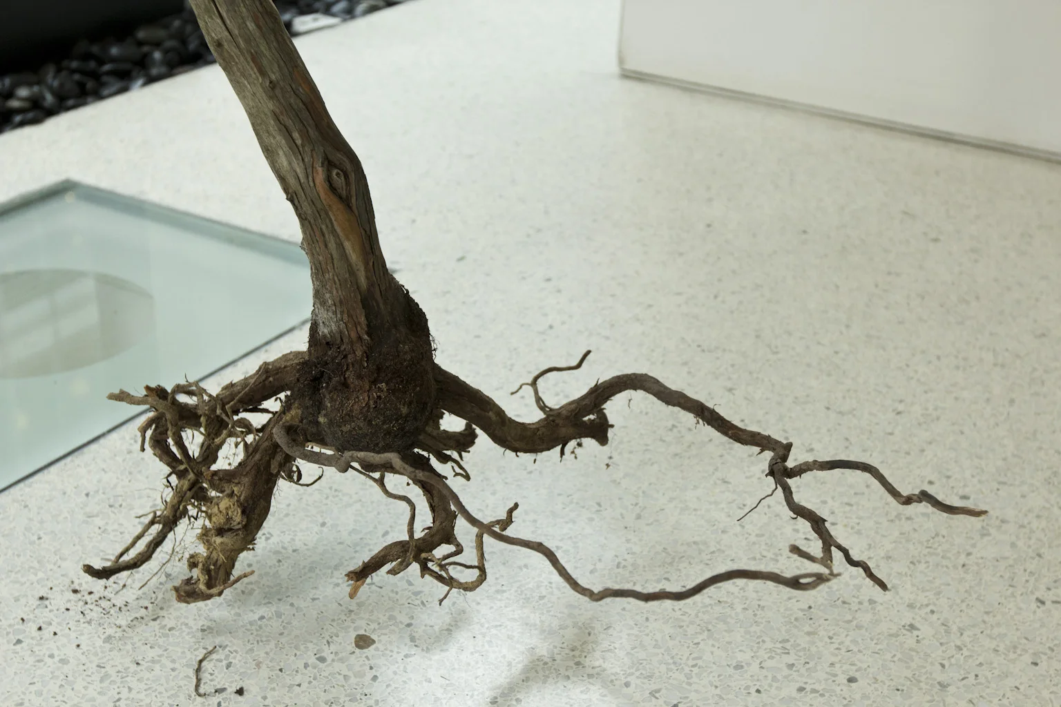 Tree Installation ICP 06.jpg