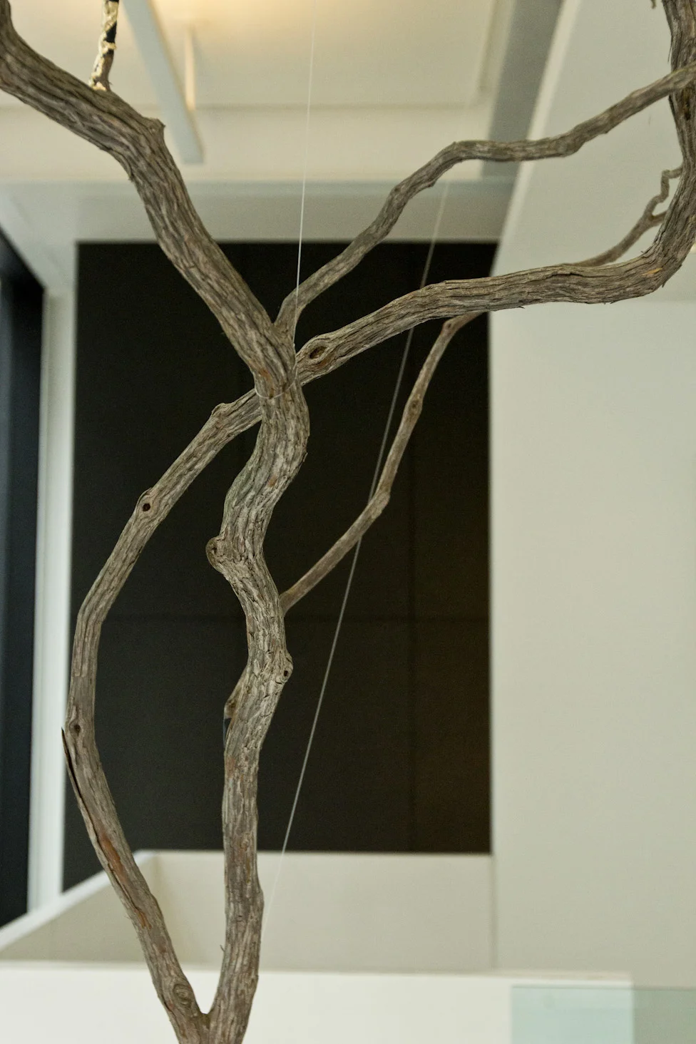 Tree Installation ICP 08.jpg