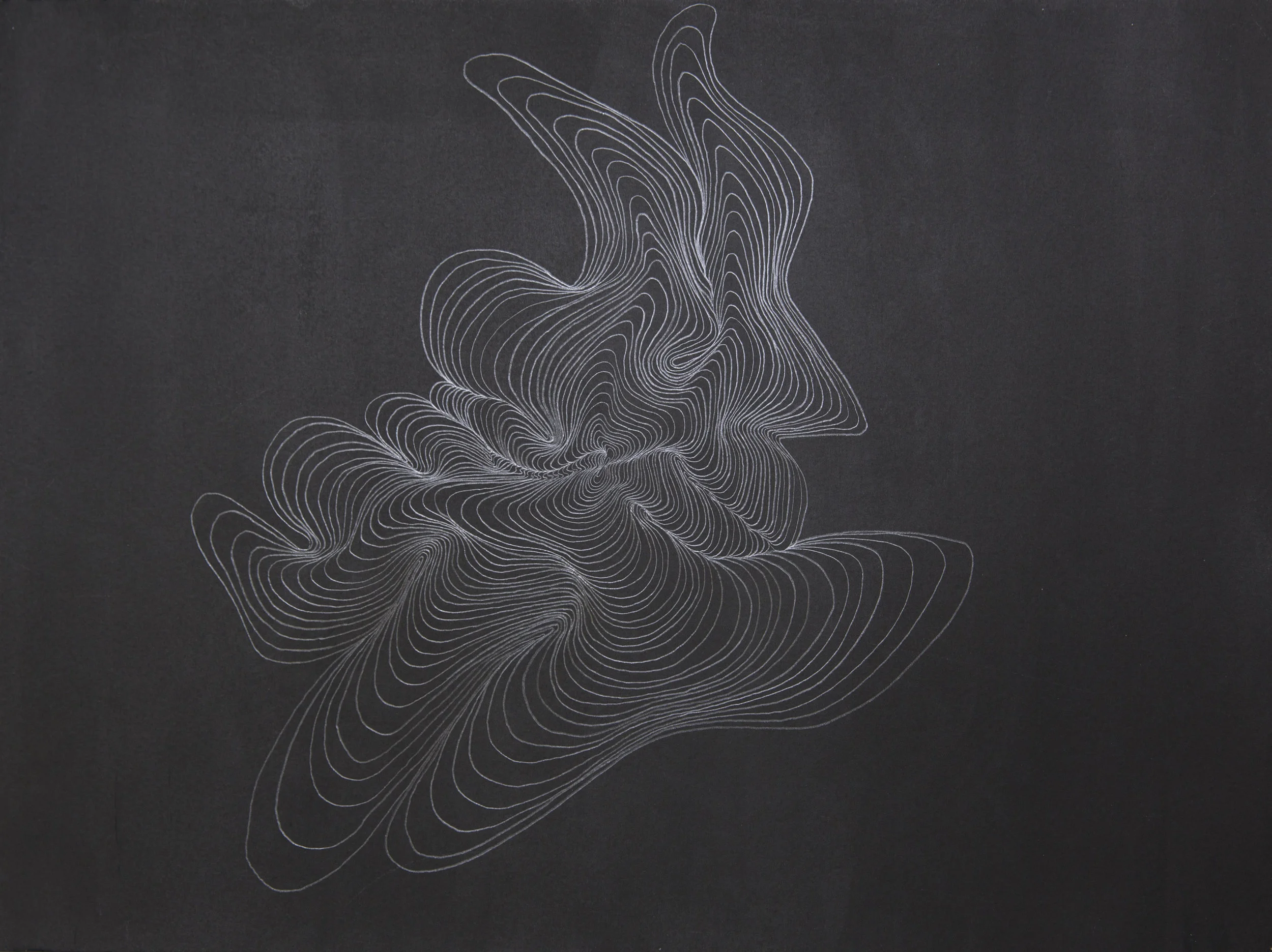 Untitled Graphite Series I