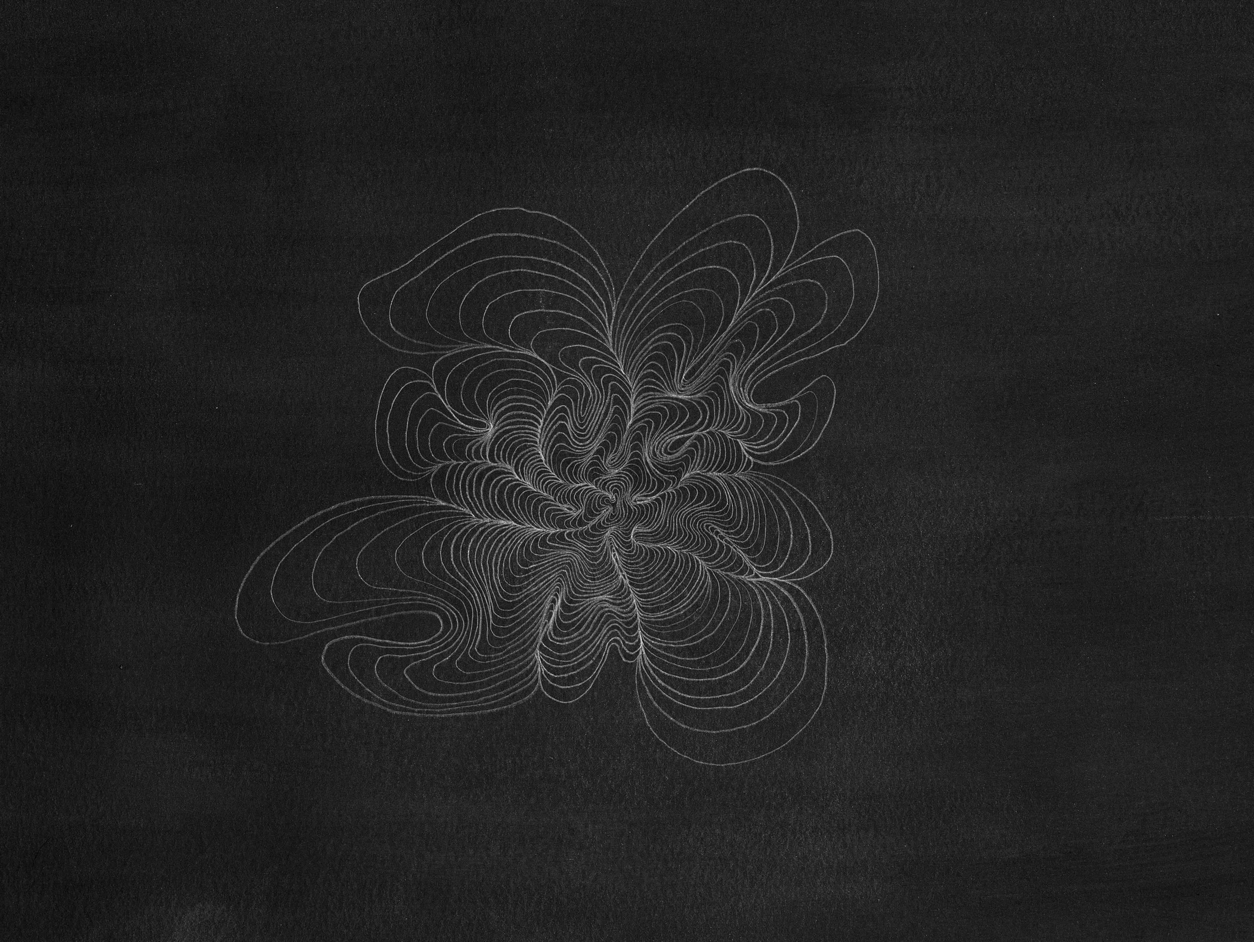 Untitled Graphite Series III