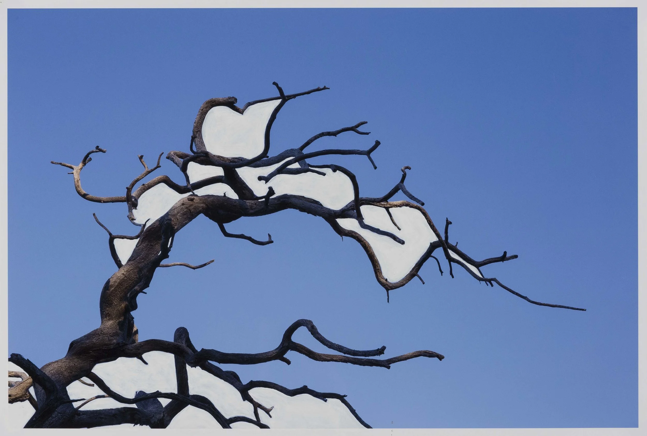  Untitled Naturgemälde IV, 2018 Acrylic on photographic paper 17x25” / 43x63,5cm Unique 