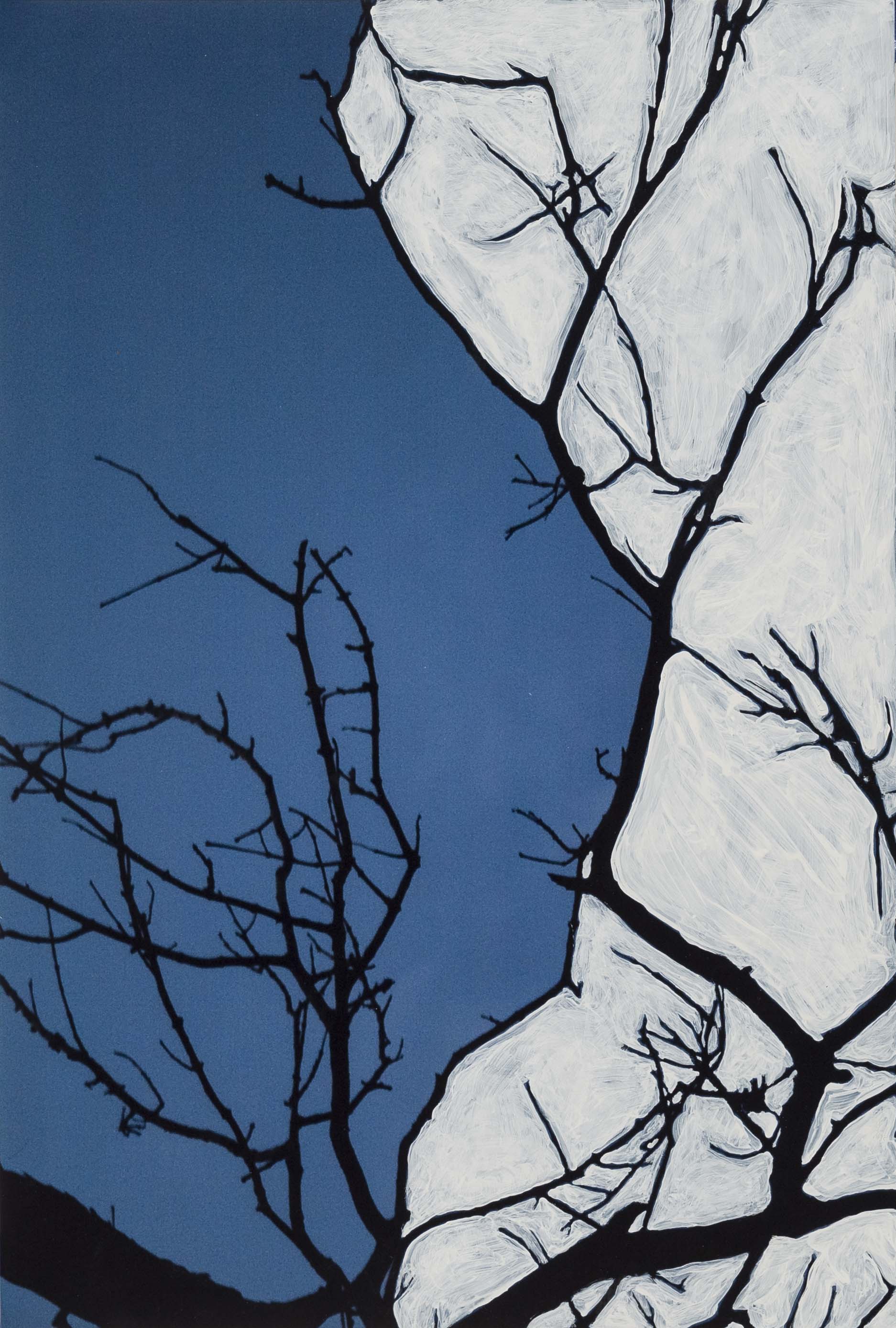 Acrylic on photographic paper 17,5x12"/ 44,5x30,5 cm  Unique 