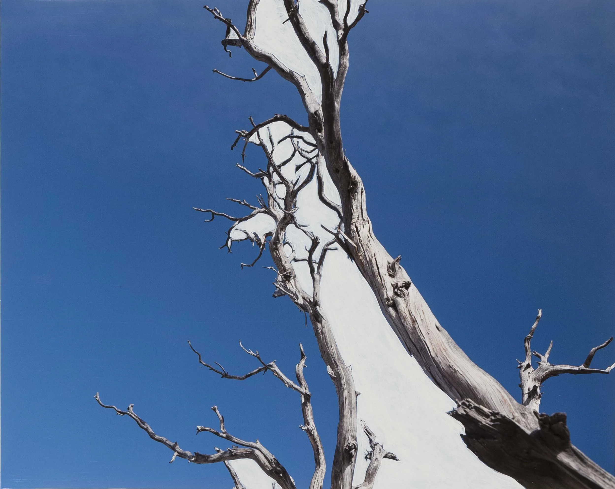  Untitled Naturgemälde VI, 2018 Acrylic on photographic paper 13x17 in / 33x43 cm Unique 