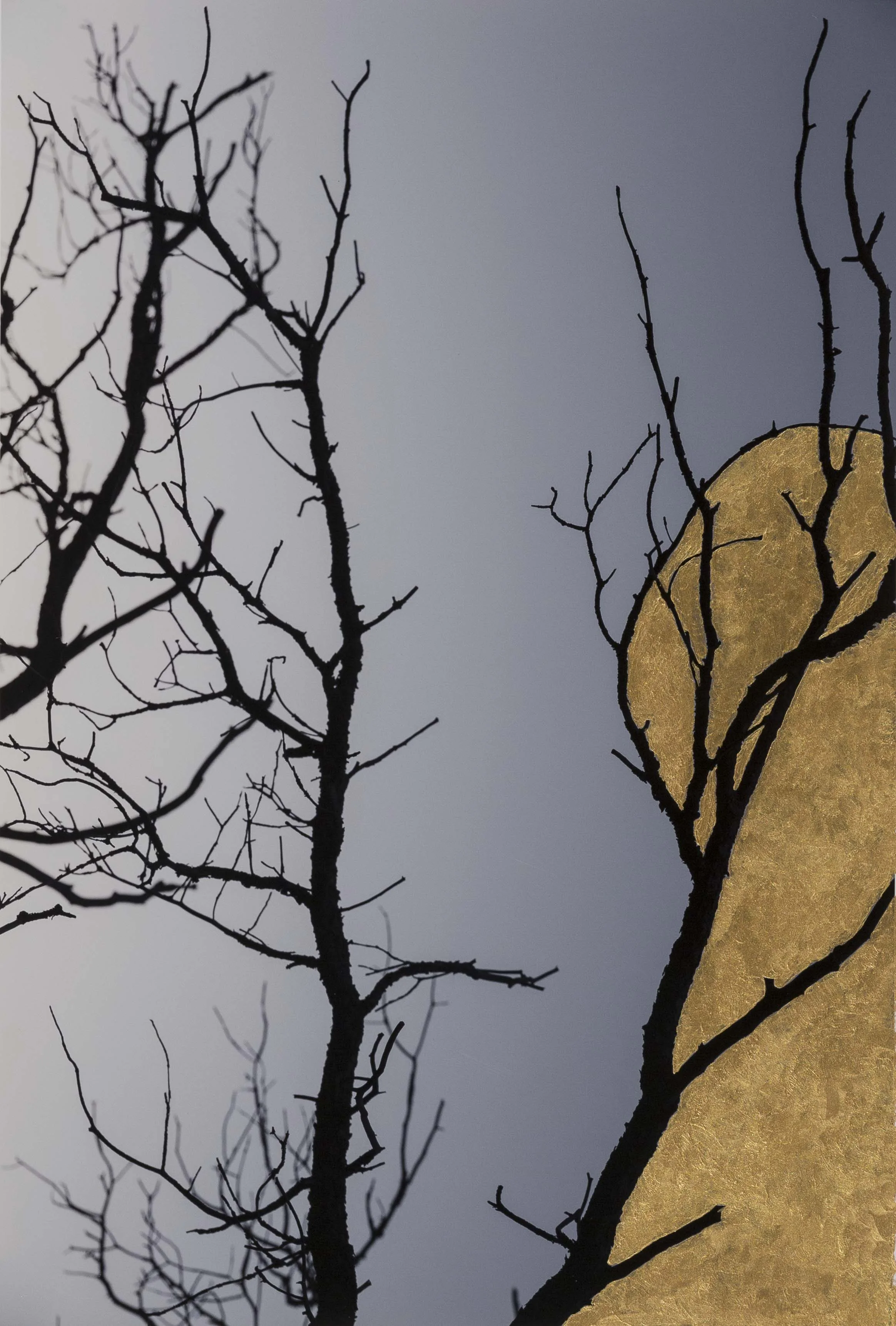  Untitled Naturgemälde V, 2018 Acrylic on photographic paper  Unique 