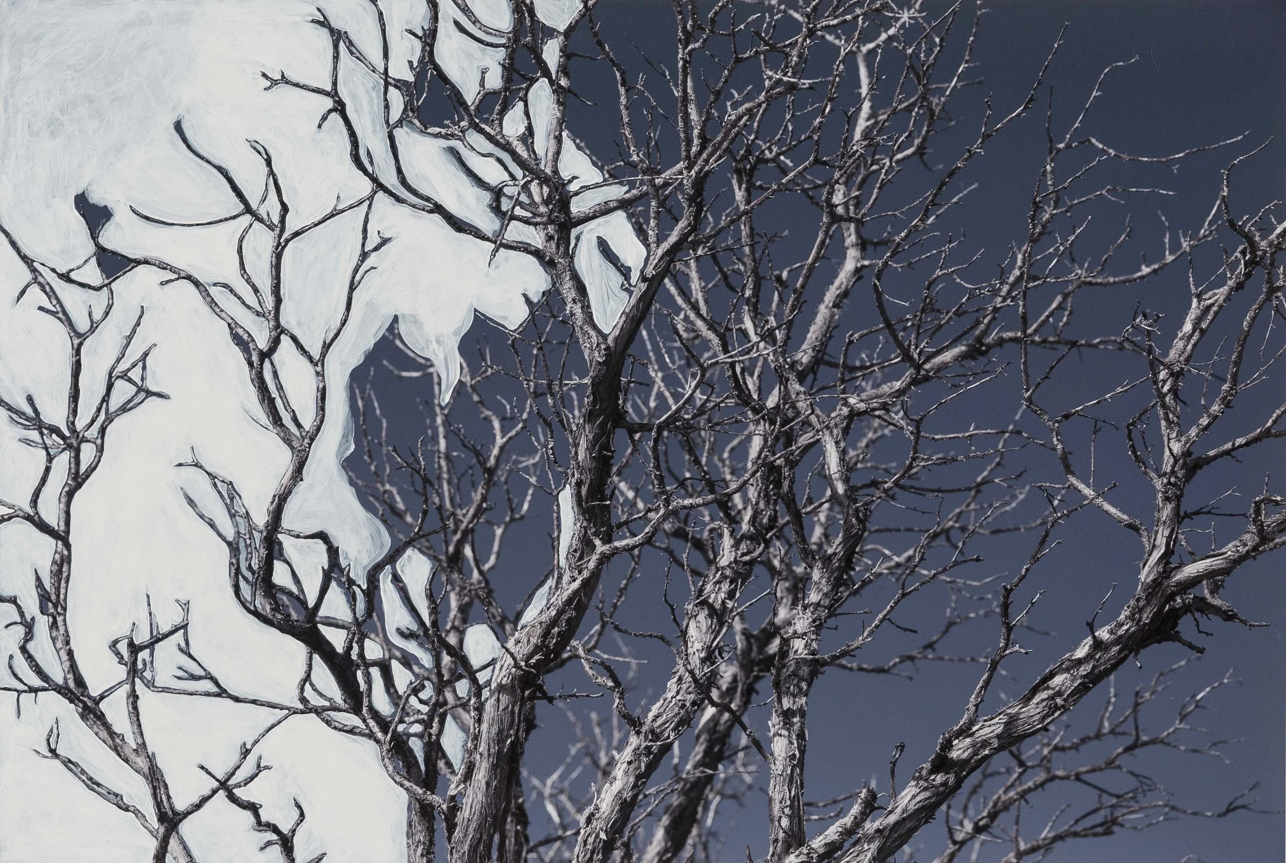  Untitled Naturgemälde VII, 2018 Acrylic on photographic paper 12,5x19” / 32x48cm Unique 