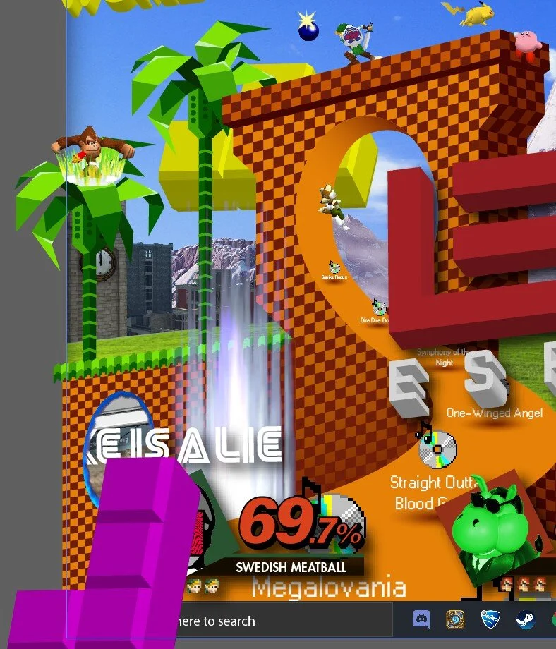 Sonic Loop Closeup.JPG