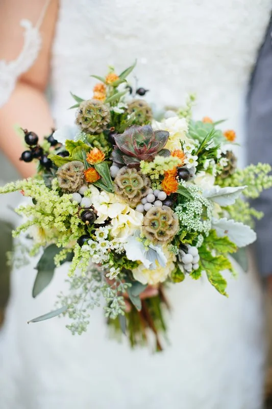  (Alex Bee Photography) 