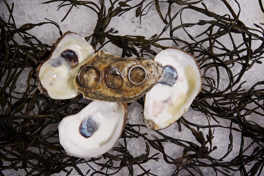oyster shell with rings.jpeg