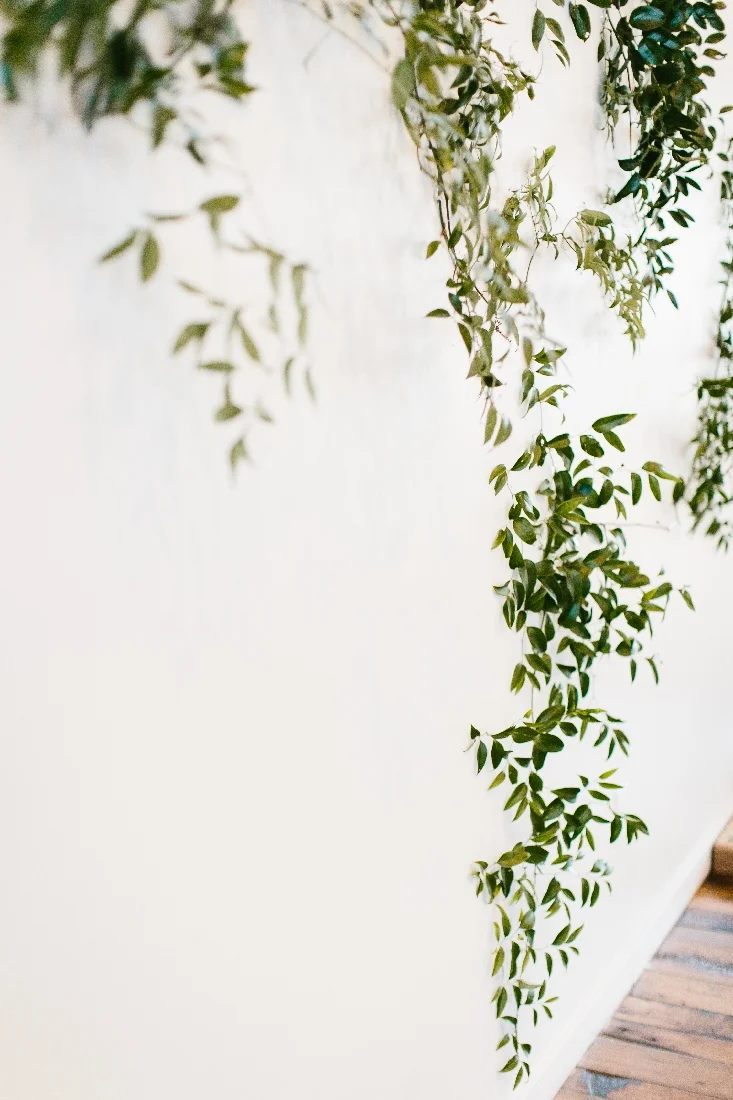greenery wall.jpeg