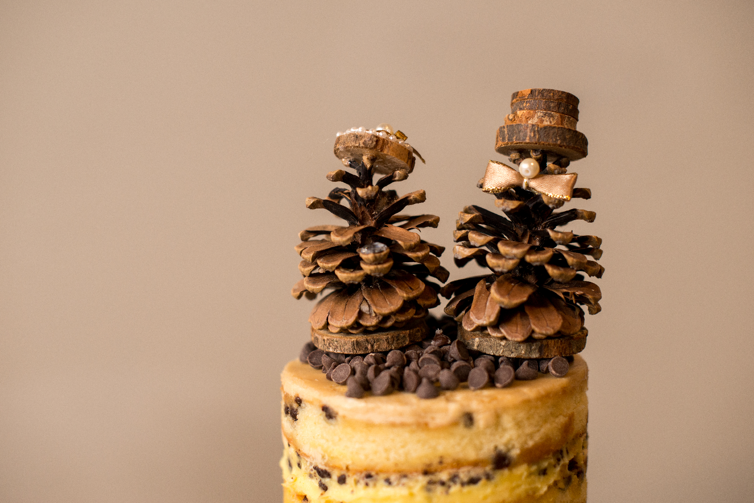 pinecone cake topper.png