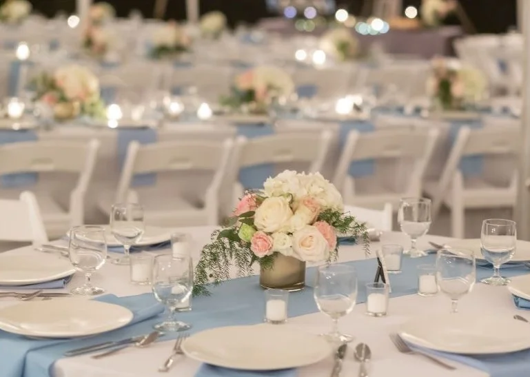 blue and blush wedding reception.JPG