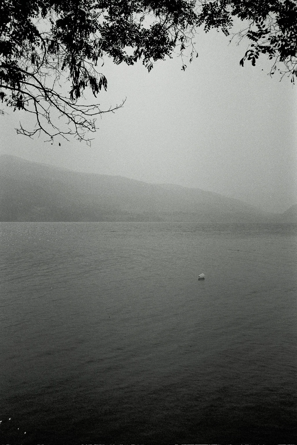 ---_0050-1.jpg