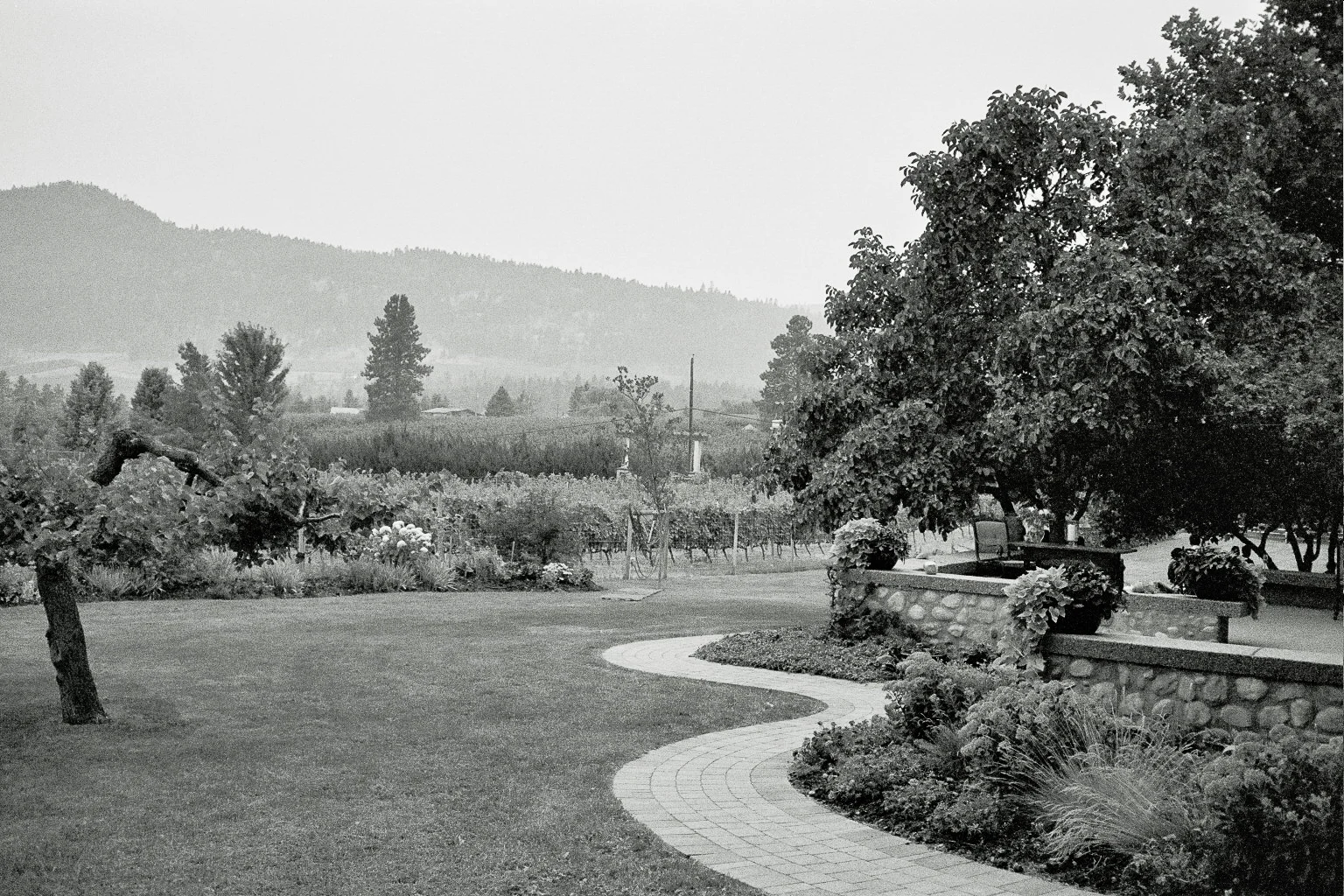 ---_0059-1.jpg