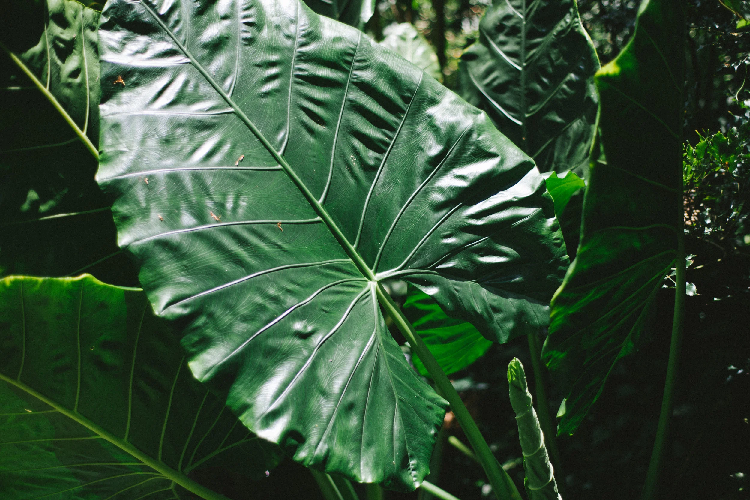 untitled (104 of 508)-1.jpg