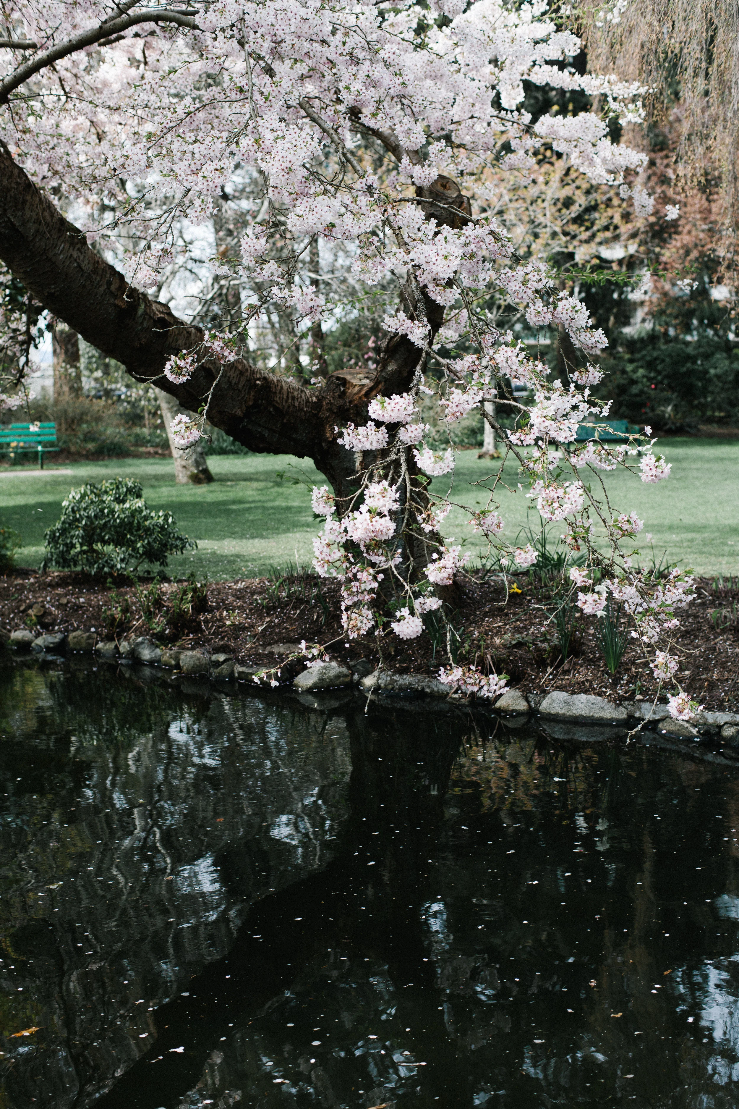 untitled (97 of 121)-1.jpg