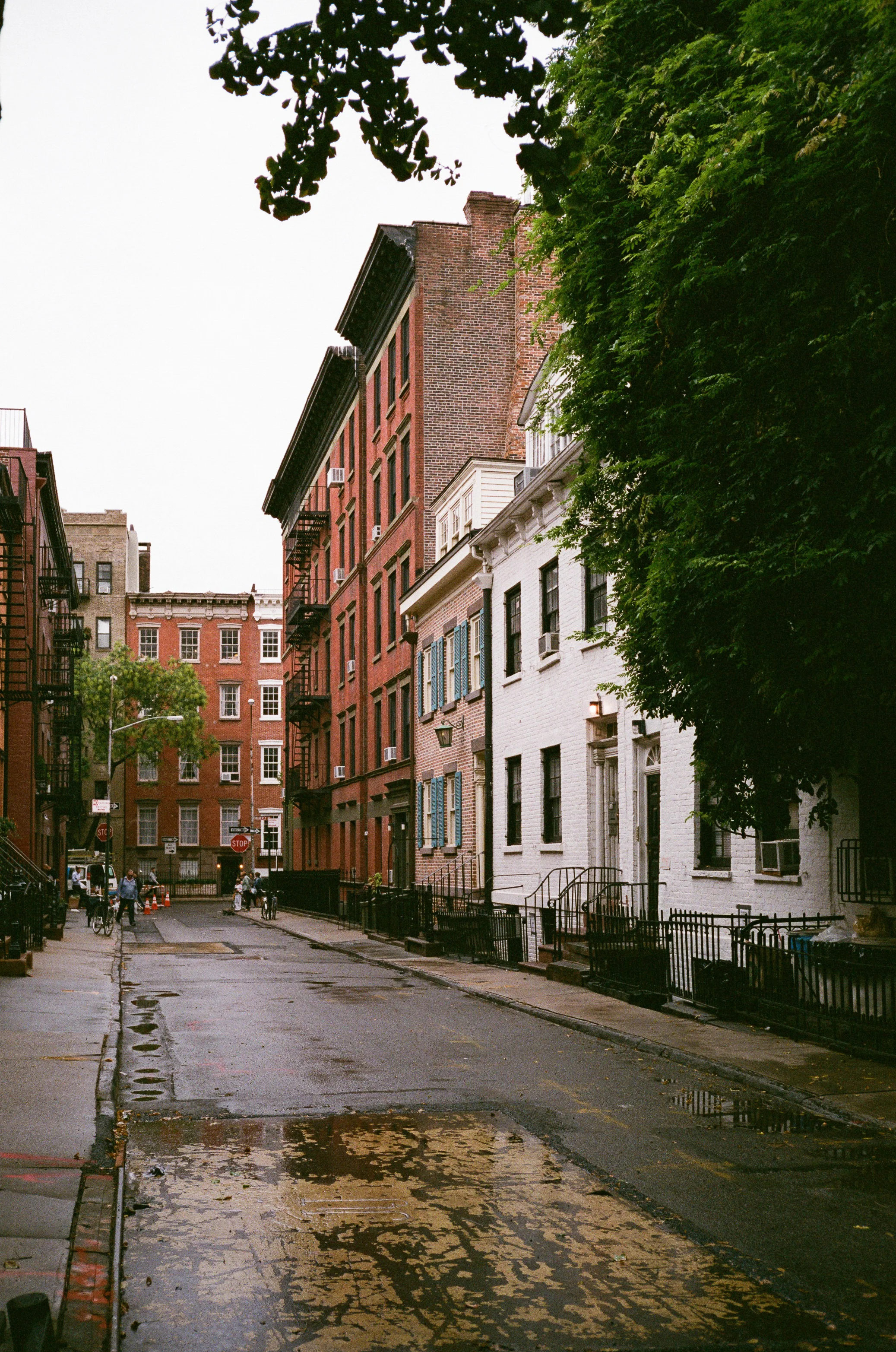 photo11-1.jpg
