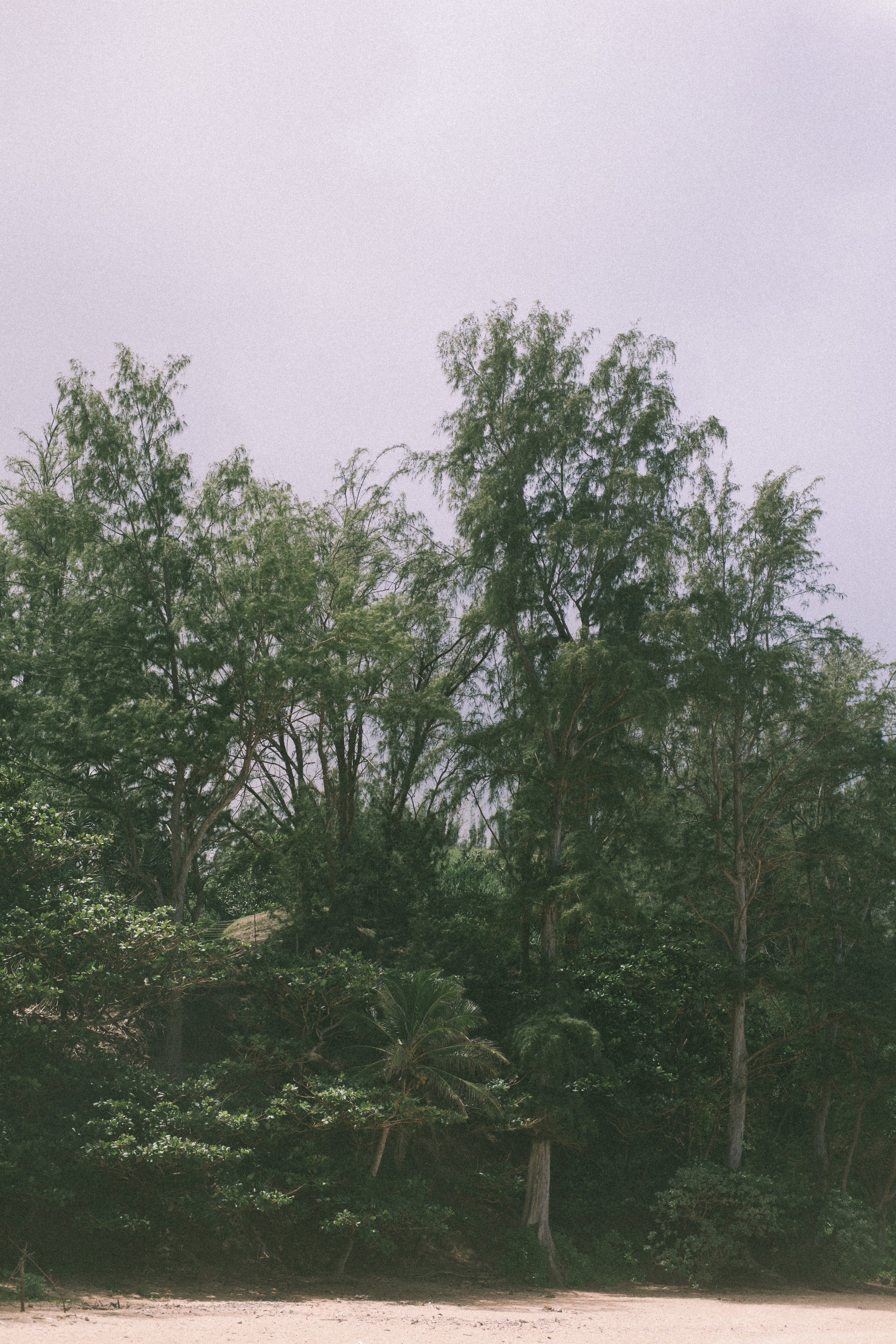 untitled (204 of 508)-1.jpg