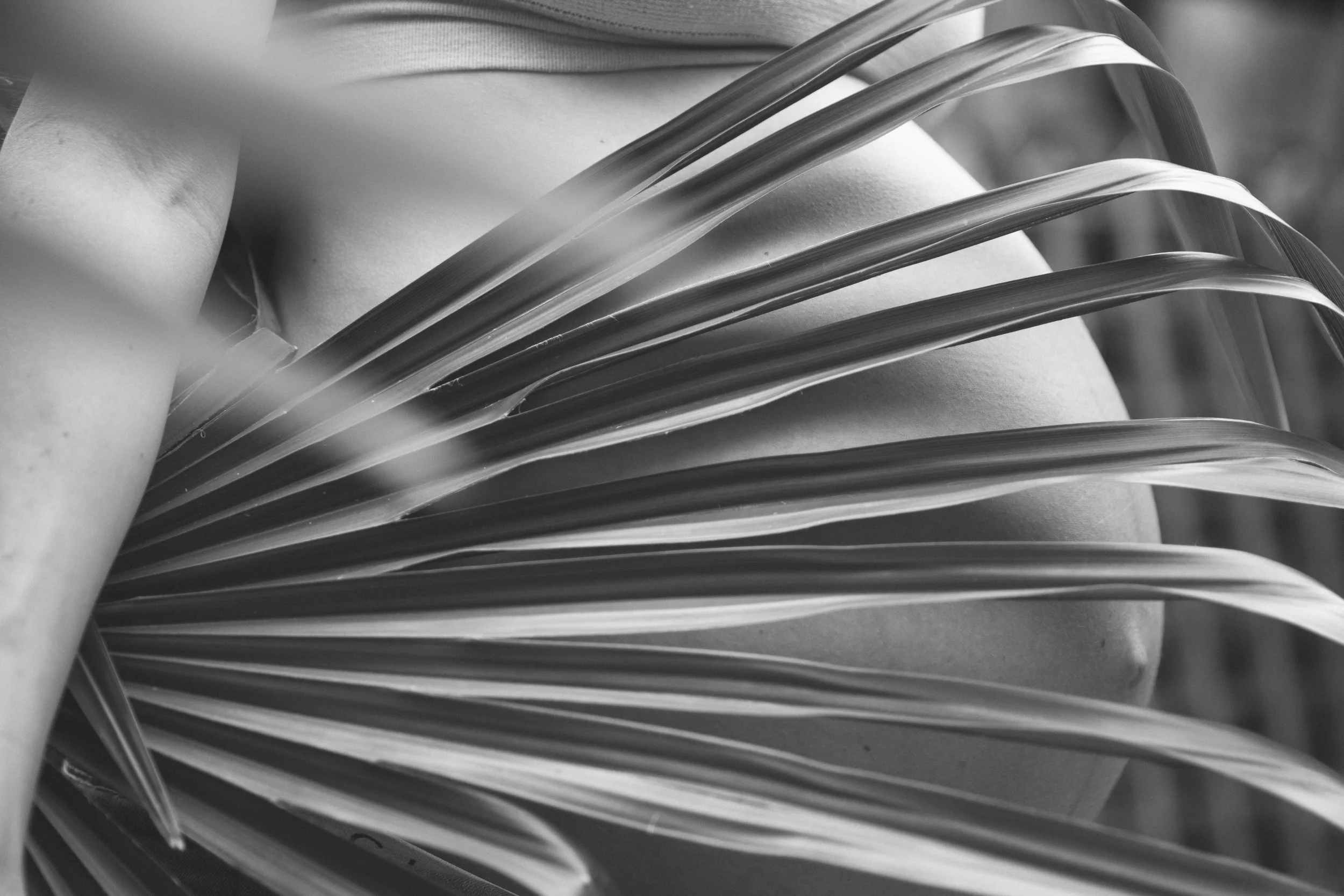 untitled (103 of 180)-1.jpg