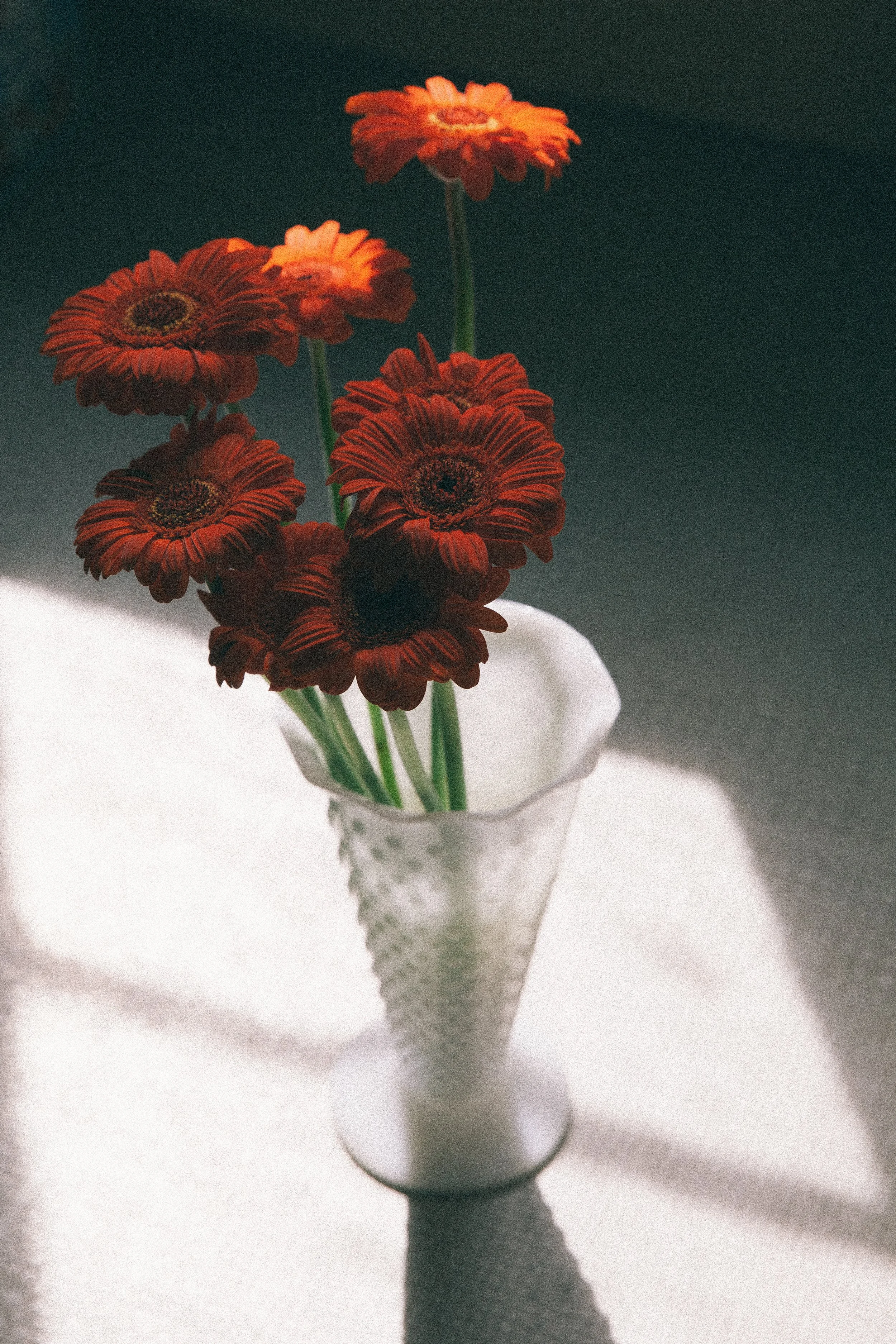 untitled (1 of 6)-1.jpg