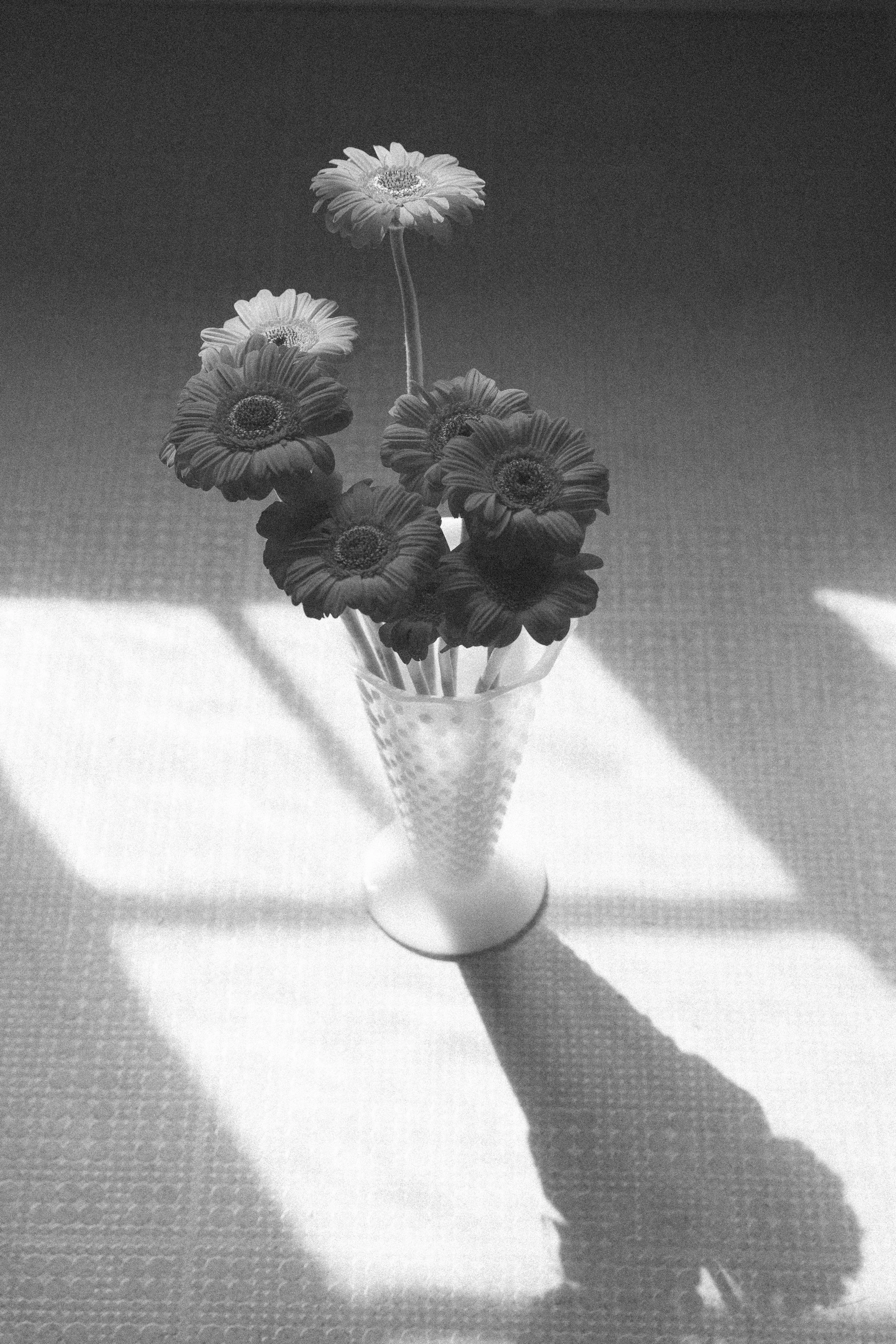 untitled (4 of 6)-1.jpg