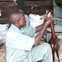 © Global Crafts