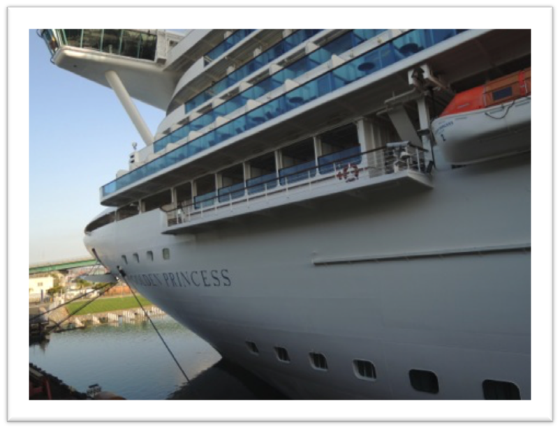 cruiseweb.png