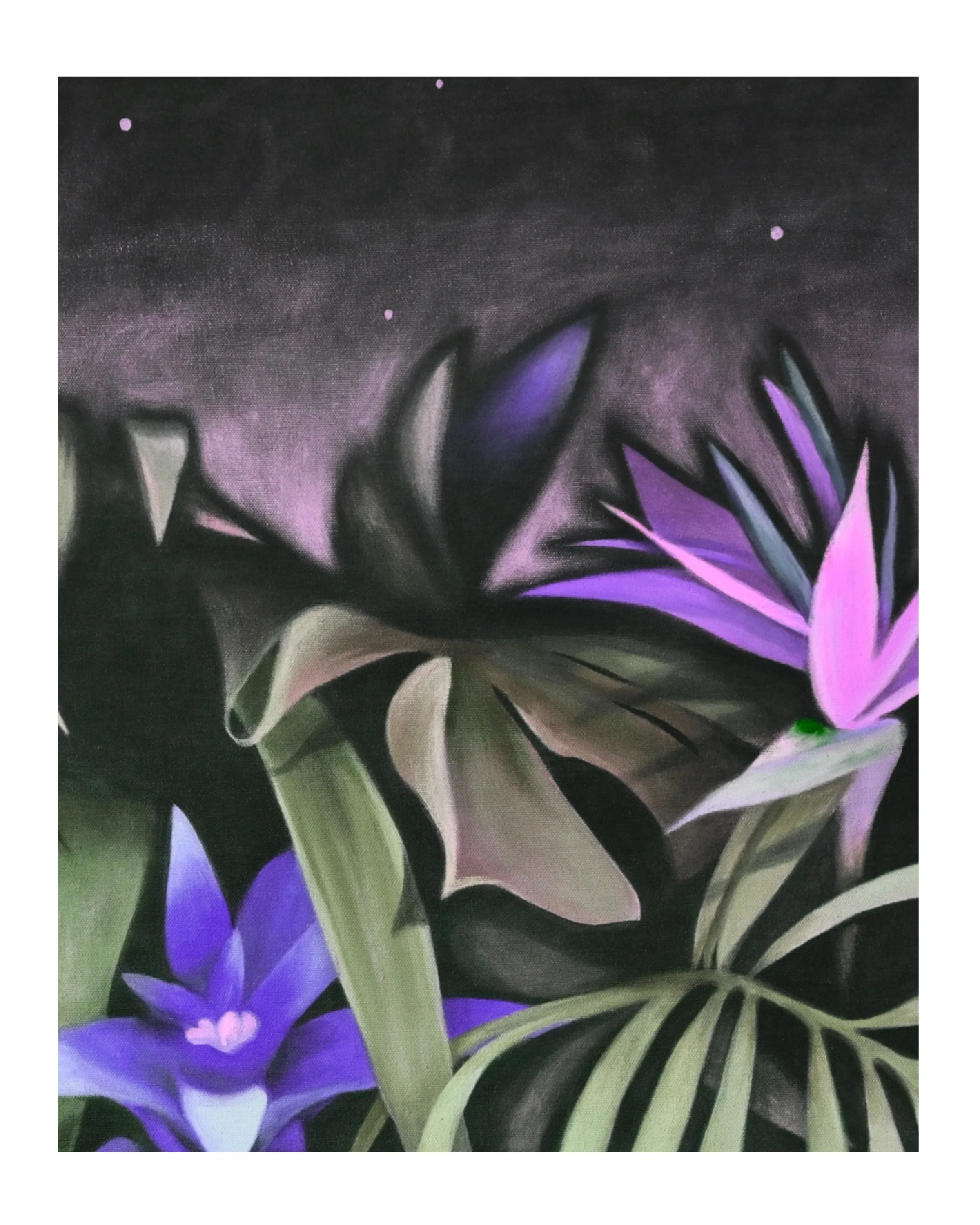Untitled_Artwork 7.jpg