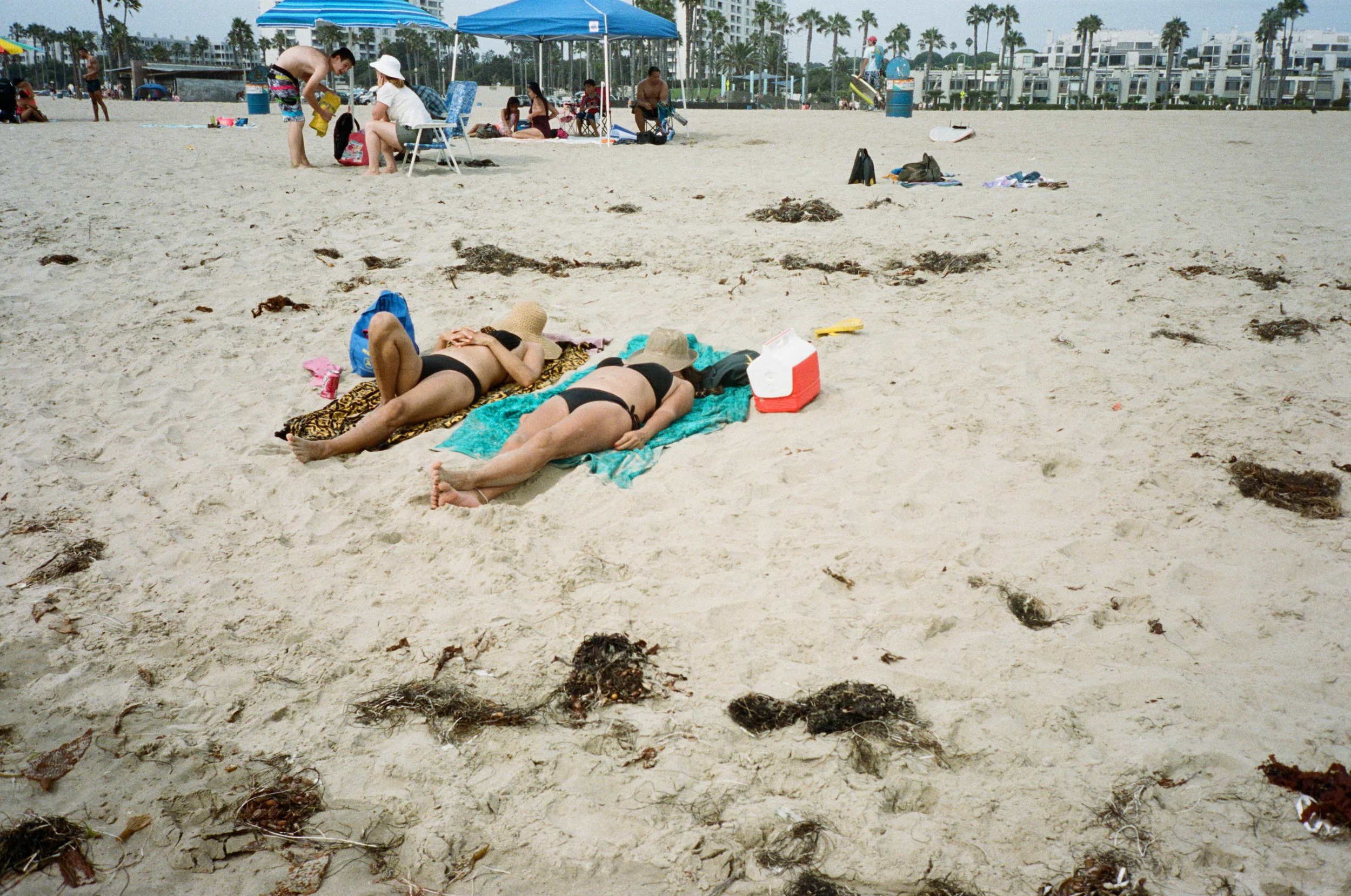 beach 1.jpg
