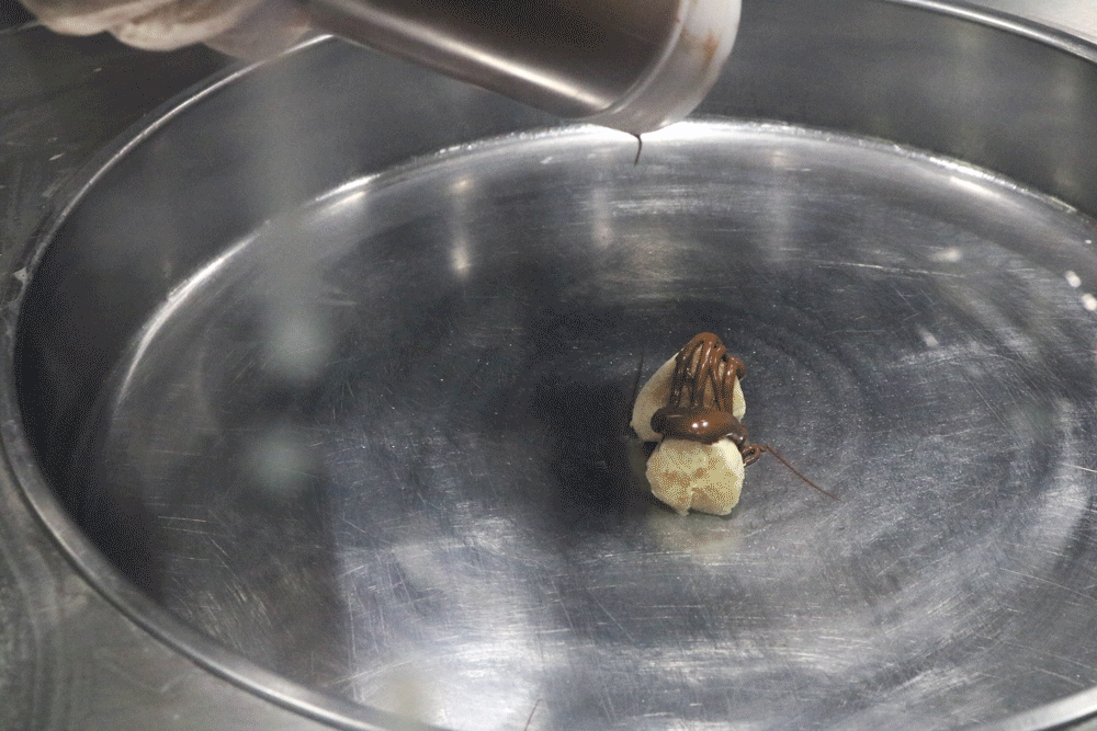 How my ice cream was made - Monkey Business