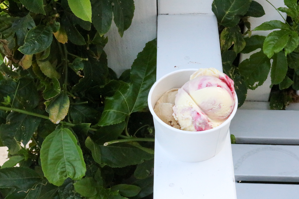 Scoops of Raspberry Swirl Rose and Caffe Luxxe Coffee