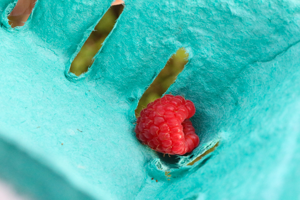 First raspberry of the day