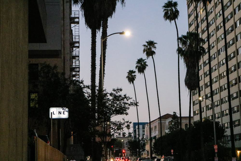 First night in LA