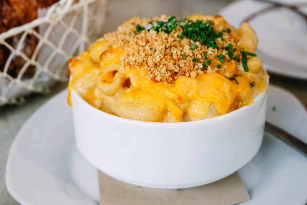 Macaroni & Cheese, big elbow pasta, crunchy cheese biscuit & thyme crust