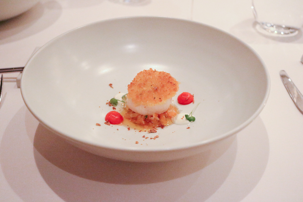 Scallop 관자