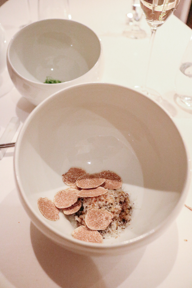 Royal Bibimbap 로얄 비빔밥 with Supplement of White Truffle