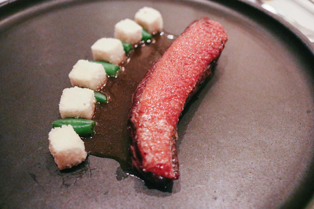 Duck 오리