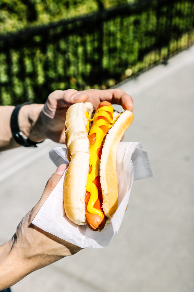 Street Hot Dog