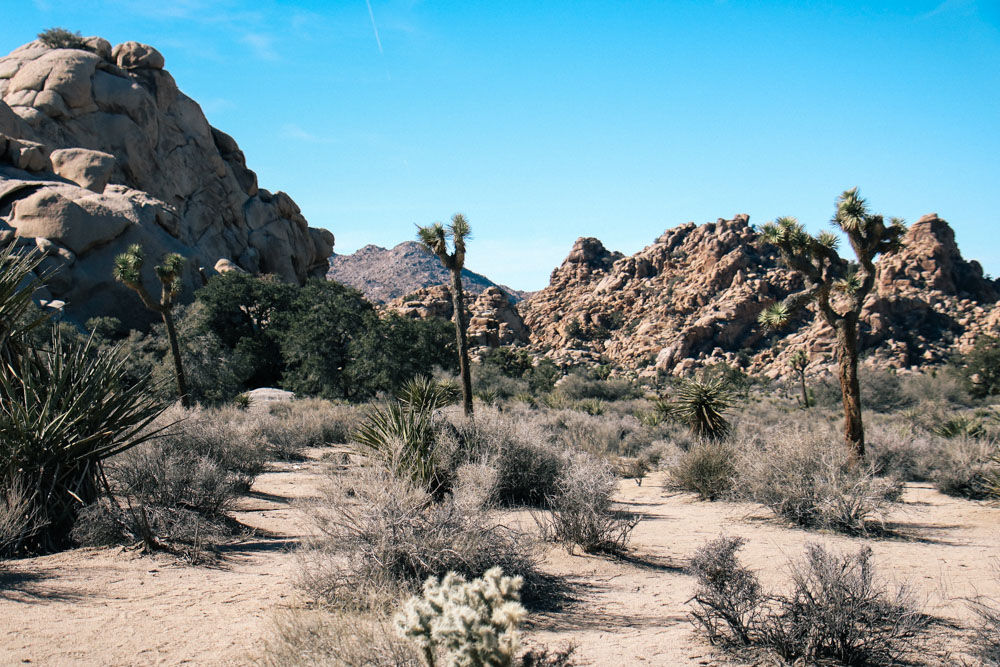 Hidden Valley