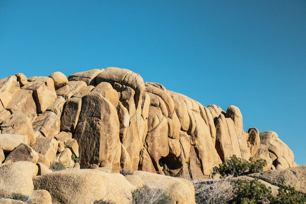 Skull Rock Trail