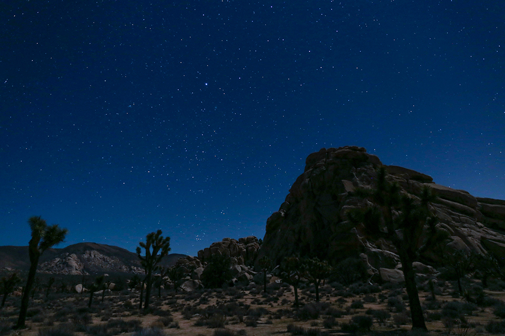 Stargazing at Night in Joshua Tree National Park