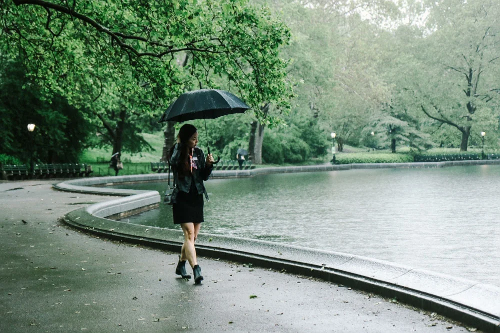 Rainy Day at Central Park