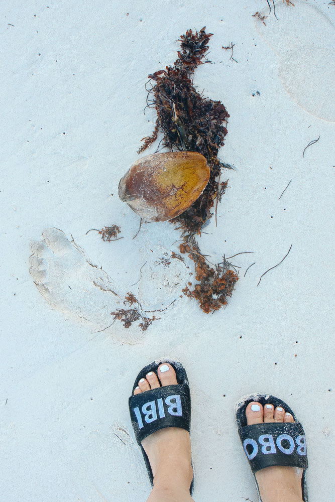 You can find Coconuts everywhere!