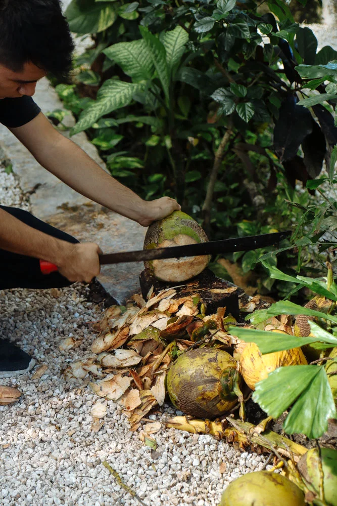 They cut fresh Coconut cut open at the spot!