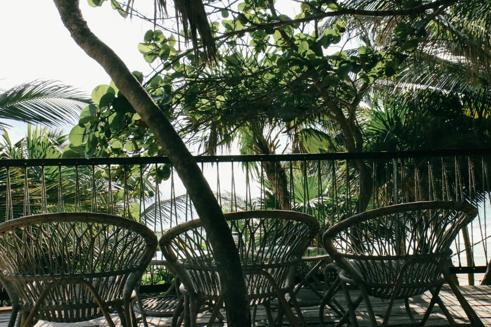 Another blessed day in Tulum